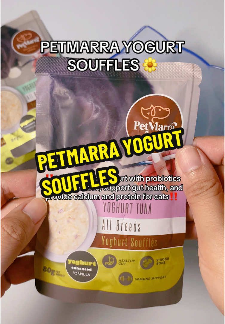 PETMARRA YOGURT SOUFFLES 🧡 #petmarra #yogurt #souffle #wetfood #catnutrition 