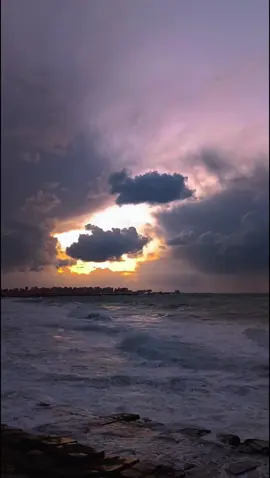 i wish you were here. El Ibrahimya, Alexandria. #tamerashour #tamer_ashour #تامر_عاشور #تامر_عاشور @Tamer Ashour 