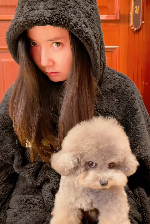 They are so similar #dog #funny #funnydog #fun #funnyvideo #fyp #fpyシ #foryou #dogtiktok #funnyanimals 