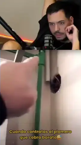 Le hizo cualquier cosa