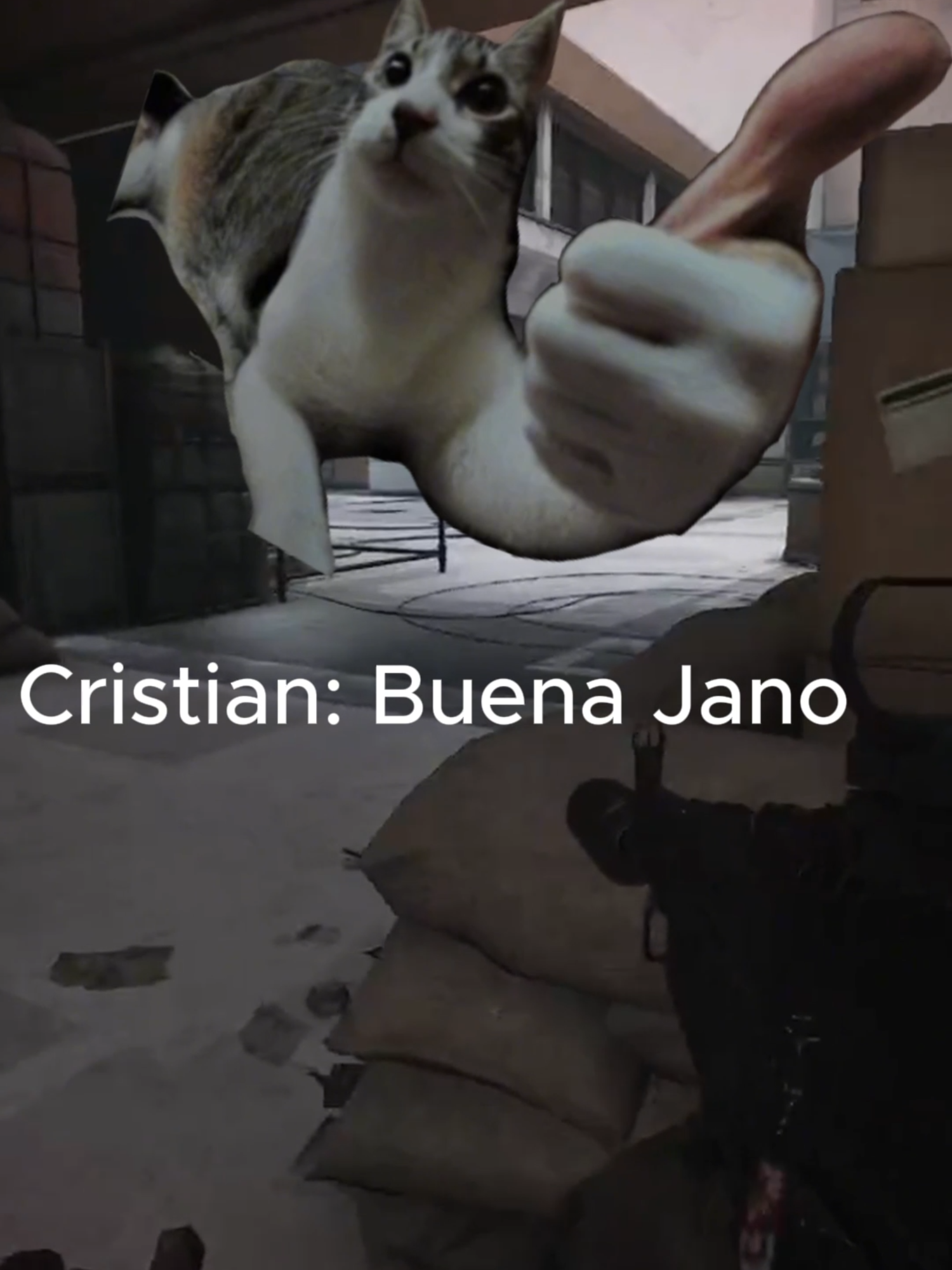 Parte 2 del vídeo anterior  Poniendo más edición de a poco:c DFGDF Siganme para más(? uwu #twitch #clips #clipsdetwitch #amigos #arenabreakout