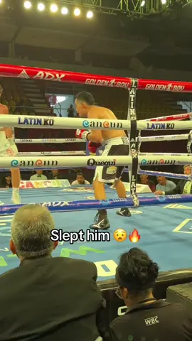 I’d never be able to get up from that 😱 (via caydengriffiths/IG) #knockout #ko #boxing 