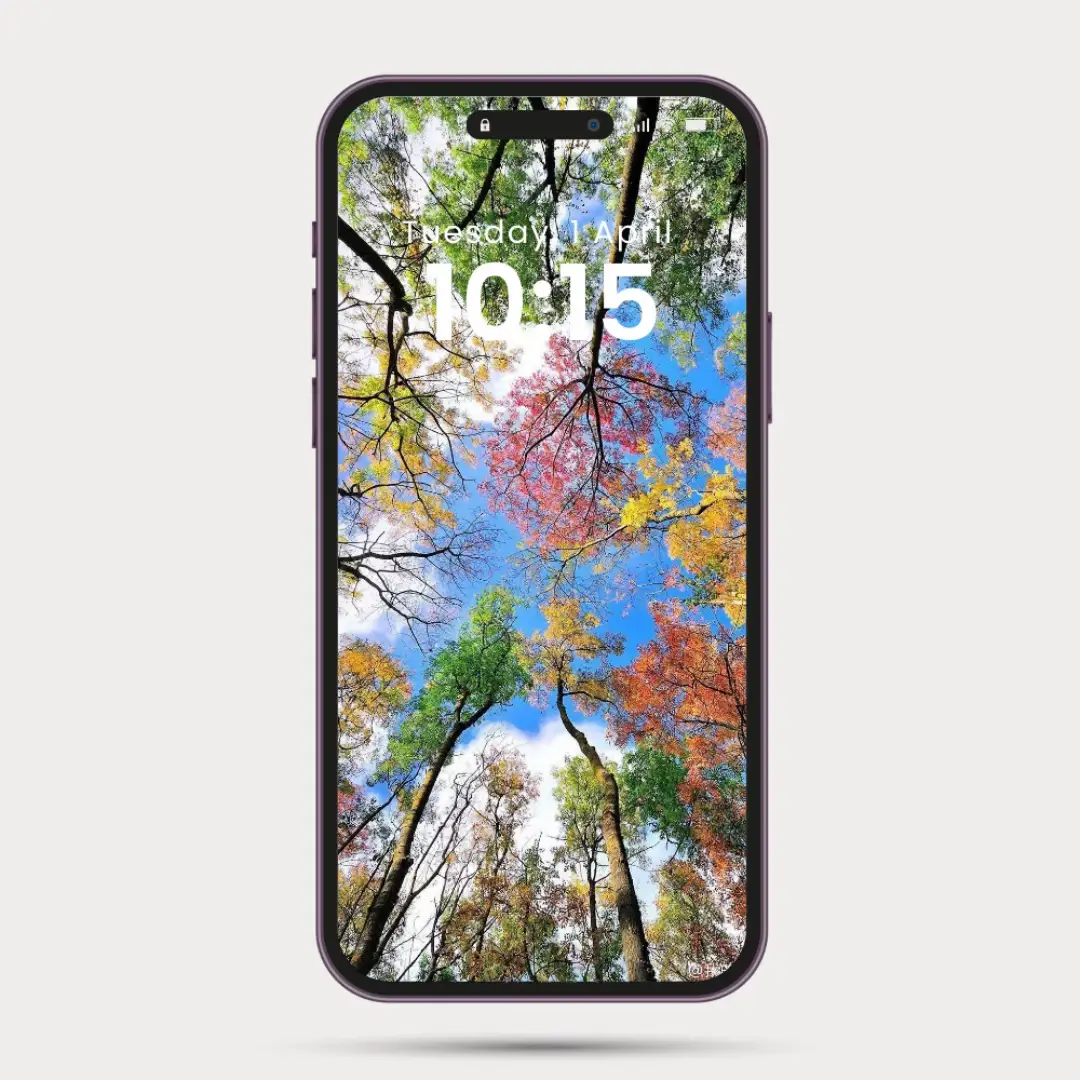 #trending #hinhnendep #hinhnendep4k #suutam #suutam #flower #xuhuong #wallpapers 