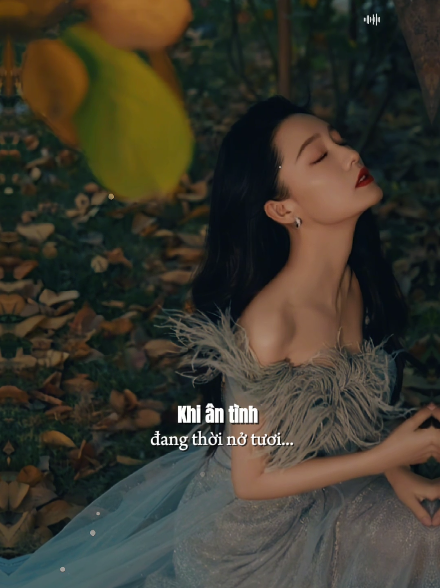 Khi ân tình đang thời nở tươi... [ Tựa Cánh Bèo Trôi _ Phi Thanh ] #tuacanhbeotroi  #phithanh  #tamtrang  #nhacbuon  #nhacbuontamtrang  #tramcamxuc  #bolero  #maucapcut  #gocphoamnhac1991 