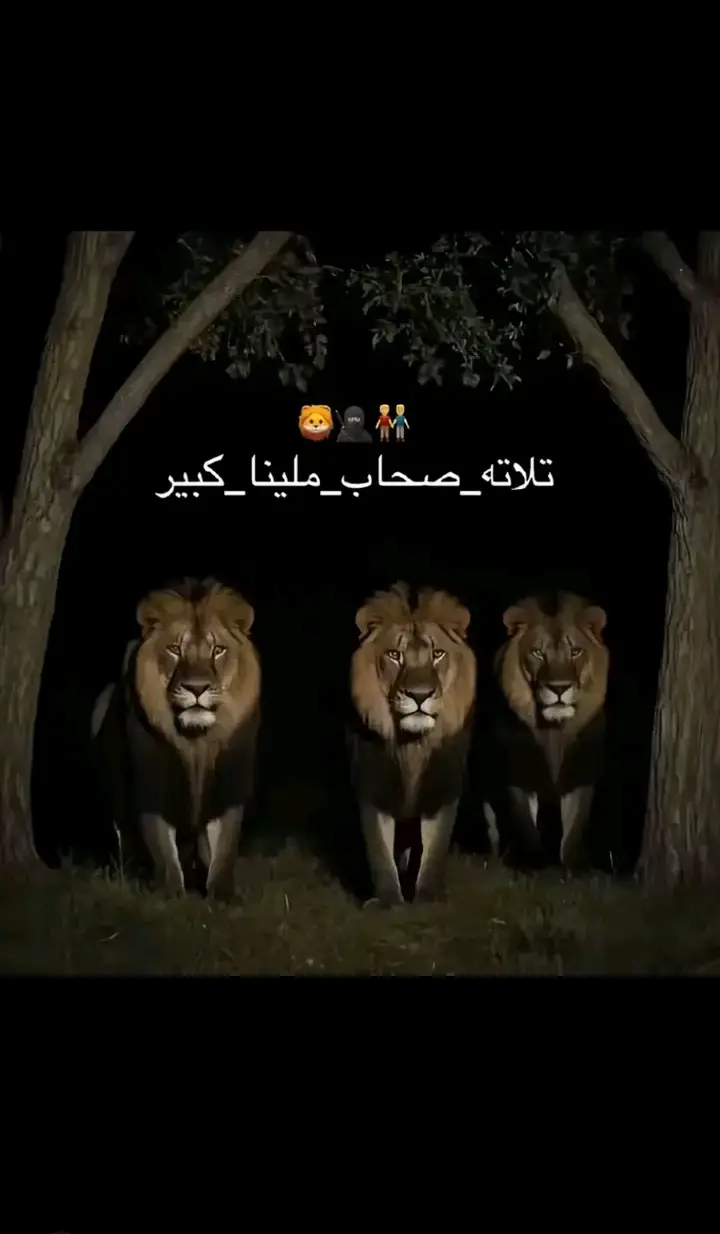#seuz #@الديب 🔥,,,,,,,, moiza@🤪SaifNaseer🤪 