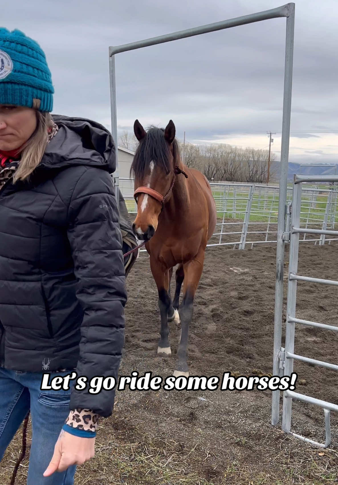 Come listen to me talk about nothing while I catch some horses to go ride 😂 #barrelracer #barrelhorse #futurityhorse #barrelracing 