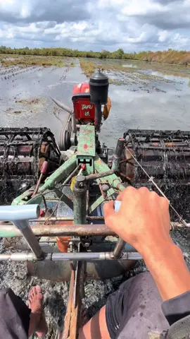 Chill chill #94baclieu #mayxoidat 