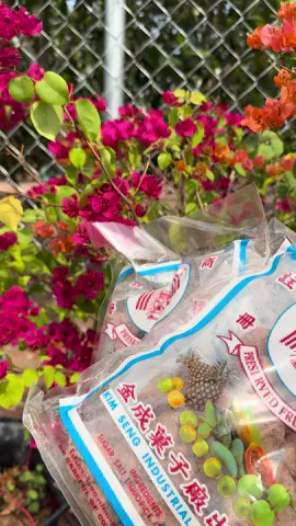 Combo 2túi xí muội mặn thái lan #ănvậtnhàchâm #ximuoi #tiepthilienket #thinhhanhtiktok #xuhuong 