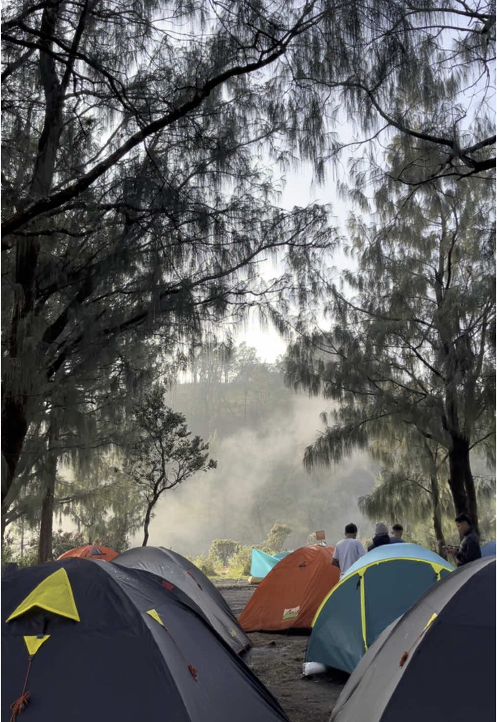 gupakan menjangan emang secandu itu🥺makk pengen balik lg ke lawuuu😭  #lawumountain #lawuviacetho #gupakanmenjangan #pendakigunung #pendakiindonesia #foryou #fyp 