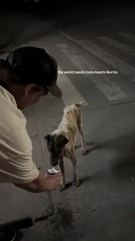 The way he loves animals says everything about the kind of man he is.  #dog #dogsoftiktok #fyp #foryou #aspin #streetdog #afam #cebu 