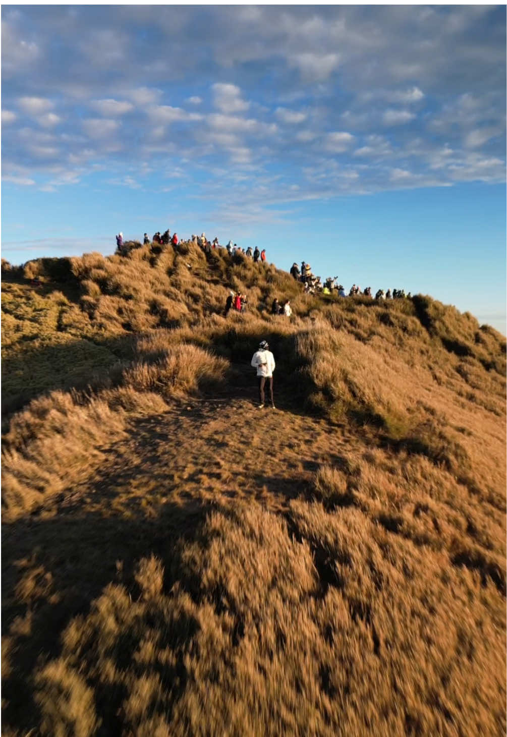 They are jealous of what we found here in Mt. Pulag! 😍 #travel  #Hiking #hike #hiker  #dji #drone #droneshots #mountain #mountains #mountainphotography #nature 