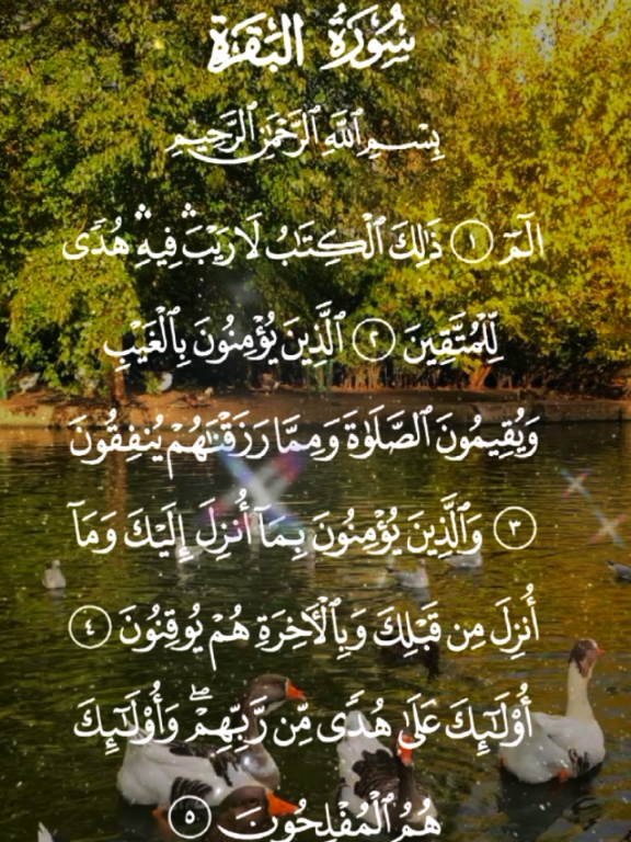 سورة البقرة كاملة #سورة_البقرة #سورةالبقرة #القران #quran_alkarim #foryoupage❤️❤️  #✅ #اللهم_صلي_على_نبينا_محمد #CapCut 