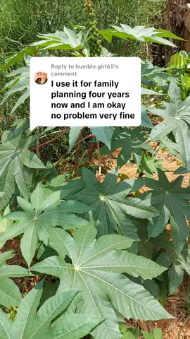 Replying to @humble.girl65 Natural Family  Planning 