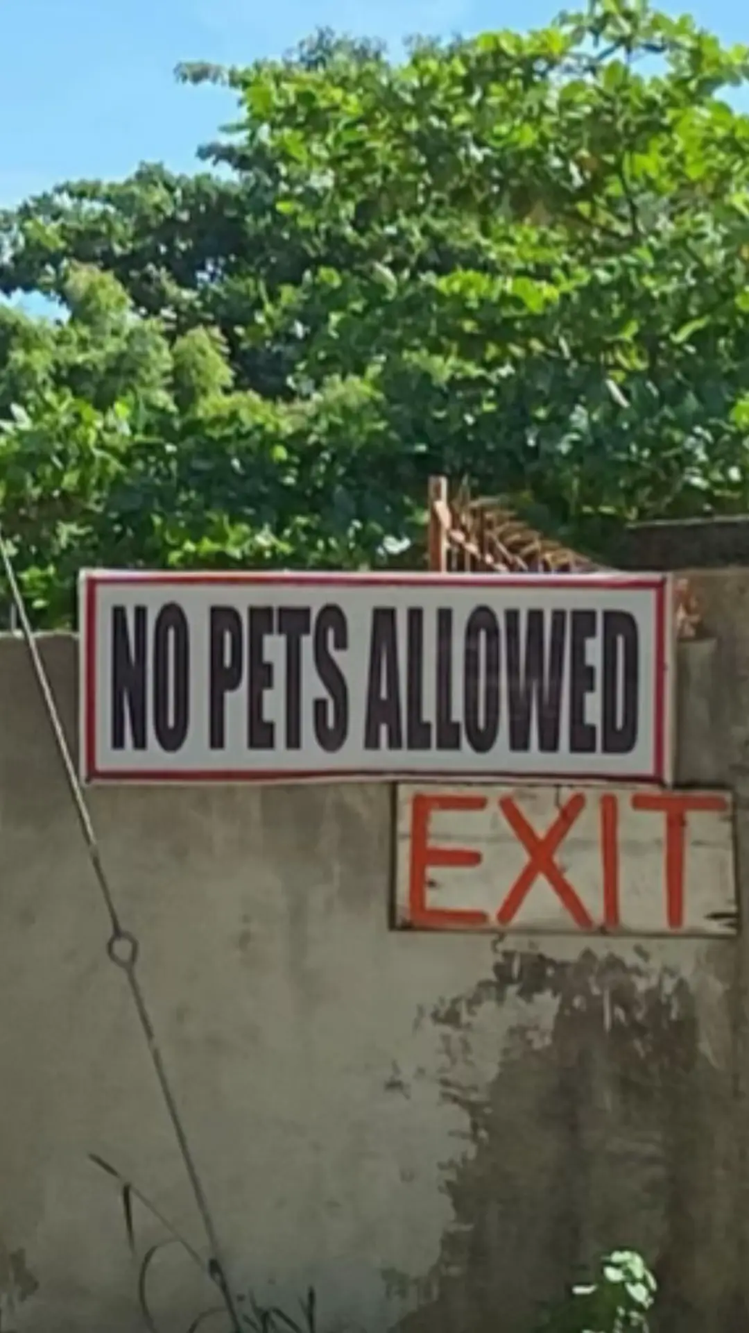 #fyp #foryou #foryoupage #cebu #nopetsallowed #cebuano 