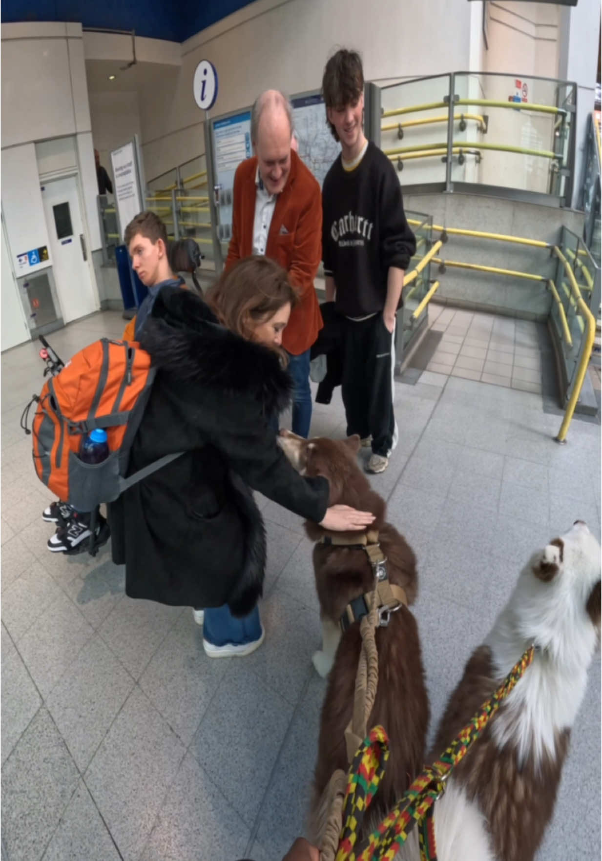 Interactions with my dogs!!  #husky #dogs #london #siberianhusky #viral #fyp 