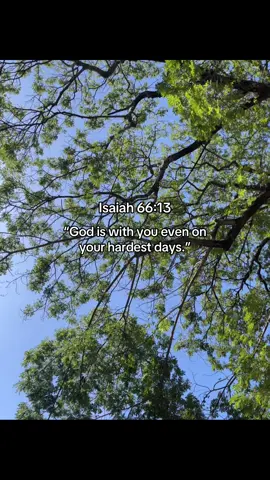 Isaiah 66:13 #bibleverse #verseoftheday #fypage #isaiah #bibleverse #fypage #verse 