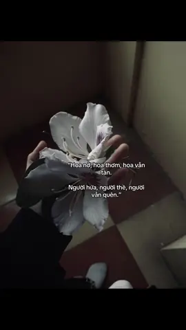 hứa lắm tắm cũng trôi.#caphay #tamtrang 