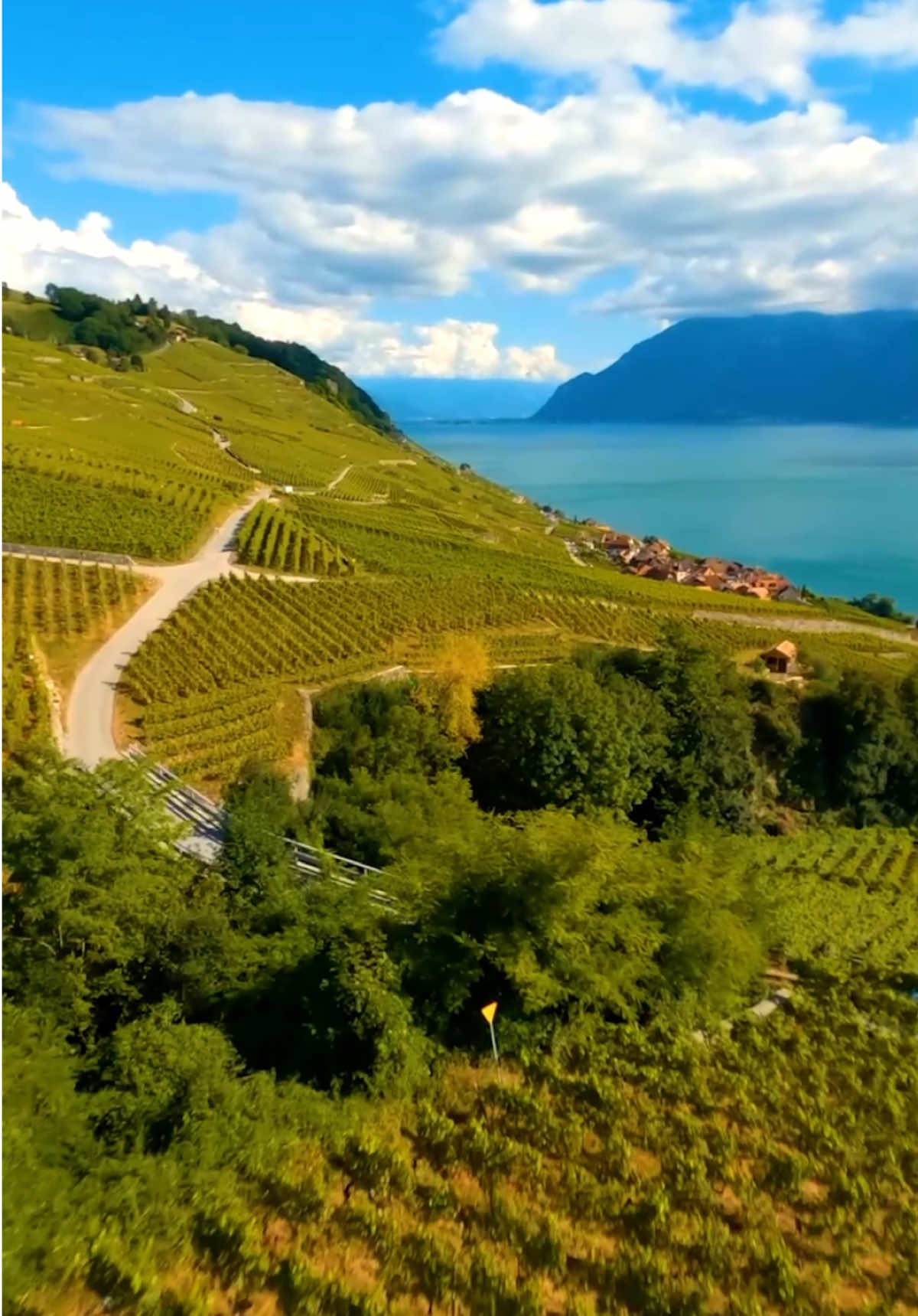 Track: Inspirational Acoustic - uplifting, inspirational guitar music for videos, films, travel videos, summer videos, social media, websites and more. #inspirationalacoustic #upbeat #guitar #summermusic #AShamaluevMusic 