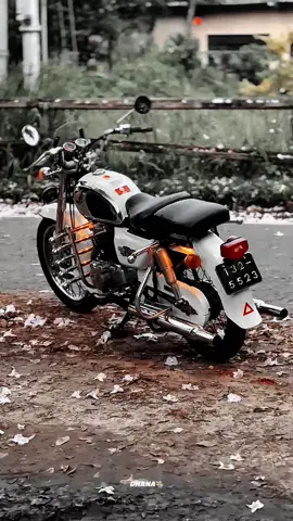 White Beauty 💋🤍’ #nature #robarosiya🌸 #goodvibes #whitebeauty #cd125benly #cd125twin #roadmaster #honda #oldschool #hillcity #kadugannawa #kandy #trending #goviral #srilanka #1millionaudition #tiktok #classic #fyp #fypage #fyppppppppppppppppppppppp 