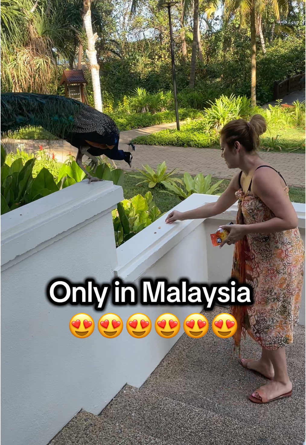 This today made me so happy 😍😍😍 . . Terenganu is fab  #terengganu  #eastmalaysia  #tropicalresort #tanjungjararesort 