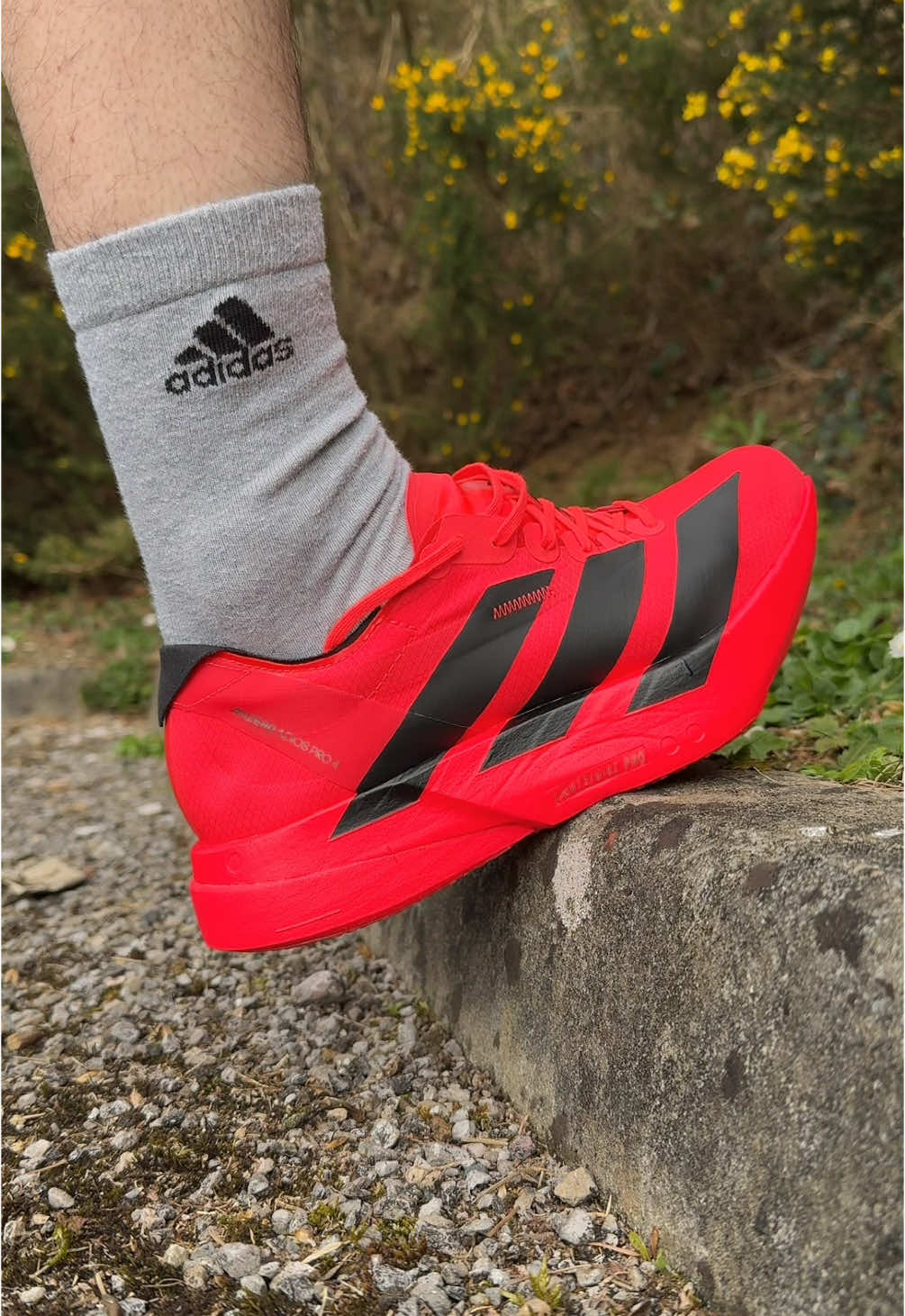 Which adidas Adios Pro 4 colourway are you going for? 👀