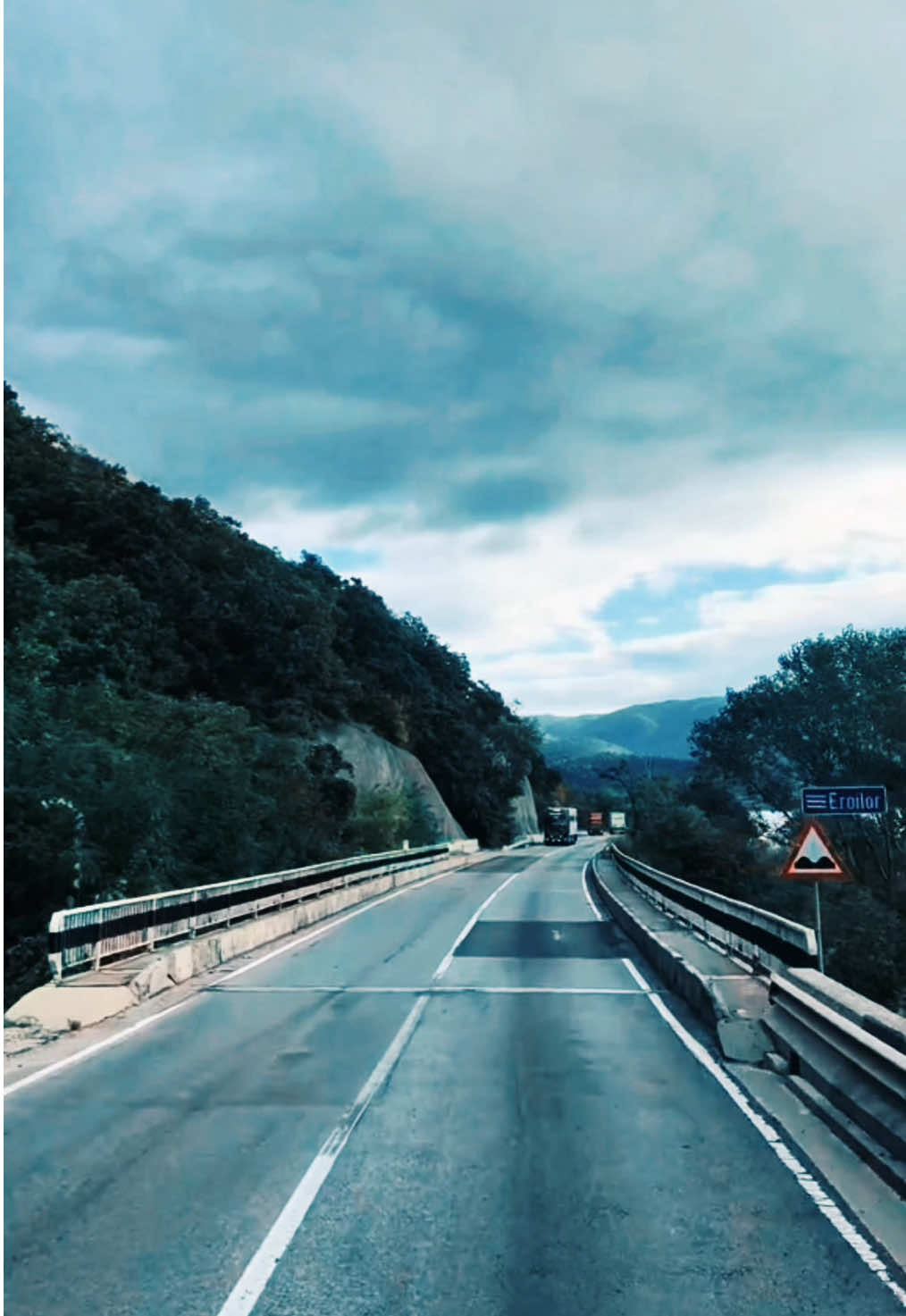 #kierowcazawodowy #truckdriver #roadtrip #fyp #życiewtrasie 