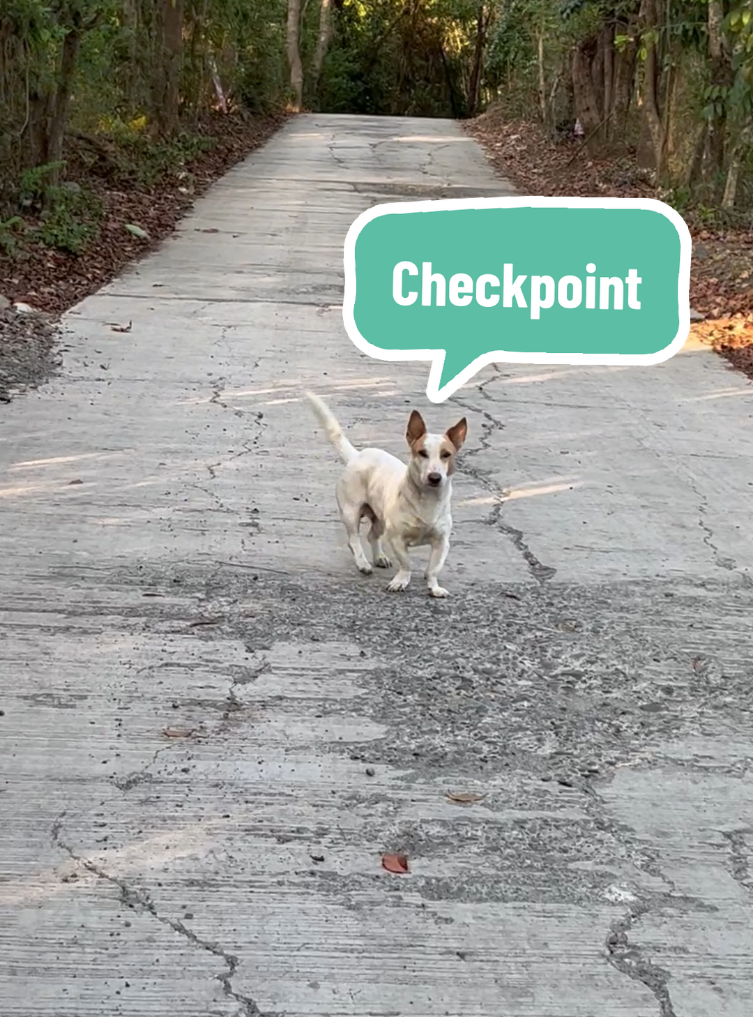 Long run sana to kaso ok na pala to. #Running #runningcommunity #runwithme #runtok #foryou 