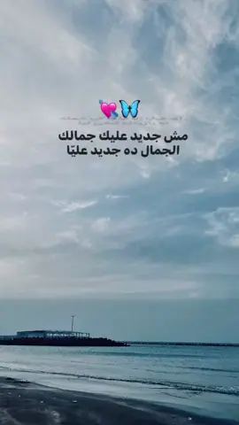 #amrdiab #عمرو_دياب #explore #fyp #foryoupage 💘