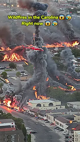 Wildfires ravage Carolina😱😰#wildfire
