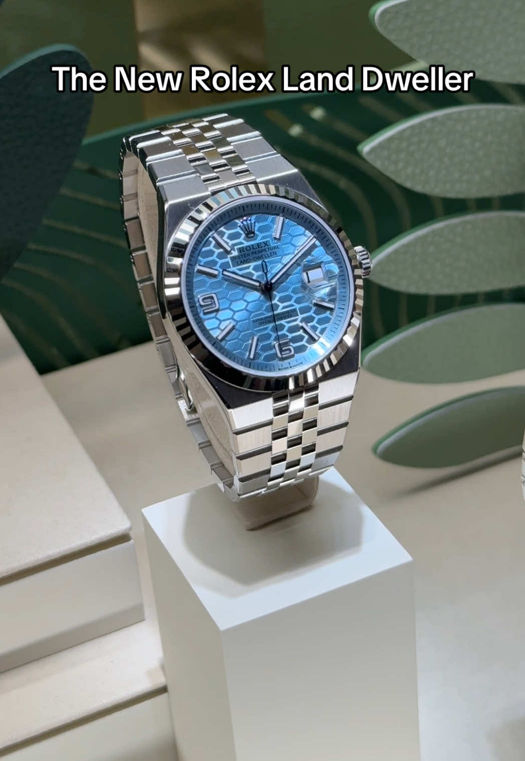 The New Rolex Land Dweller platinum. Do you like the new Land Dweller?