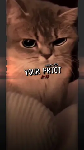 🫨#แจกลิ้งค์am #rutzx #ฟีด 