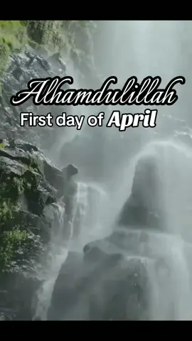 Alhamdulillah for all that you have blessed me with ya Rabi 🤲🏼🕊️🌿