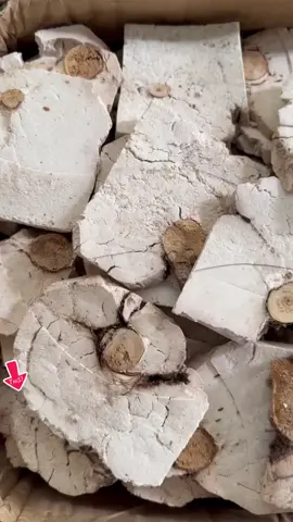 Hỗ trợ dưỡng tâm,bổ tỳ,lợi tiểu,suy nhược thần kinh,suy nhược cơ thể,di mộng tinh,định tâm an thần…#phucthanchinhhang #phucthanvannam #phucthanthuonghang #phucthanchatluongcao #phucthantotnhat 
