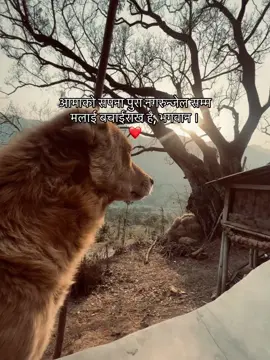 मामु😔❤️ #foryou #ma_mgrx #mothers_love #waitingforsuccess #viral 