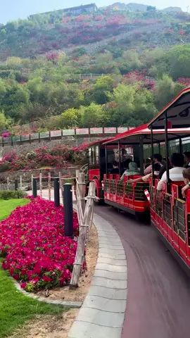 hanging park Sharjah kalba#jfycreations #foryou #viral #dubai #hanging #fyp @Khalid Khan @Waliullah SAHIBZADA @Niaز Aحmad Naز 