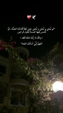 لا تنسو الدعاء لأموات المسلمين والمستضعفين والمجاهدين ❤️‍🩹🕊️