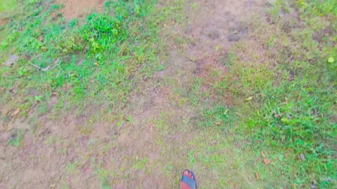 অনেক ভালোবাসী তোমায়