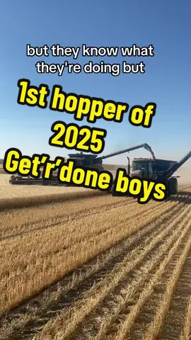 1st hopper of winter durum 2025 #farmtok #harvest2025 #crop2025 #getrdone 