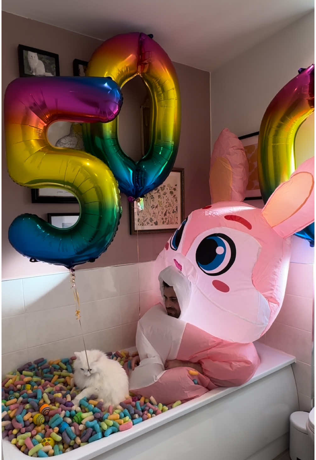 Donut hit 500K on the gram! 🐰🎉 (and the Easter Bunny approves) Thank you so much to everyone for your support and love for Donut! Two and a half years ago we never thought our little deaf cat would be making people laugh from all over the world. More crazy cat times ahead! ❤️ #500k #easterbunny #catlife #funnyvideo #funnycats #catoftiktok #deafcat #fyp 