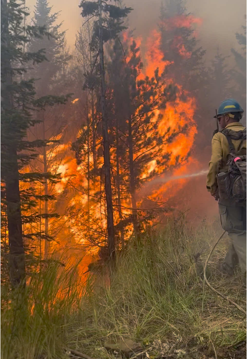 🤘🏼 #FYP #ViralVideo #TrendingNow #WatchTillTheEnd #WaitForlt #ThislsWild #EpicMoments #ReelsTrending #MustSee #Firefighter #WildlandFirefighter #FireSeason #Wildfire #Fireline #ForestFire #FireFightingLife #FireCrew #FirstResponder
