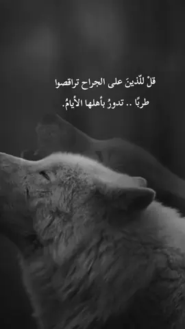 قل للّذين على الجراح تراقصوا طربًا .. تدور بأهلها الأيام#CapCut #عبارات 