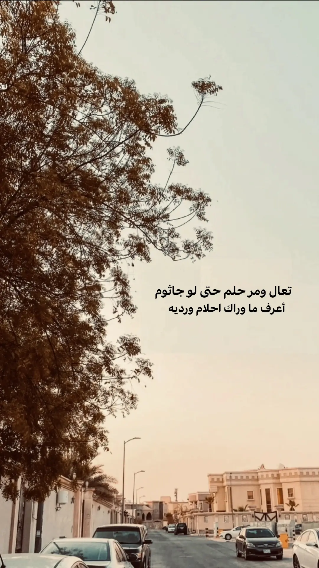 #عباراتكم  #☹️💔  #شعراء_وذواقين_الشعر_الشعبي_العراقي 