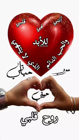 حبيب الروح #houssin 