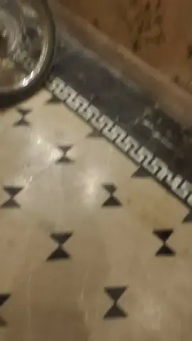 Ladies washroom 🤣🤣🤣#foryoupage #foryou #for 