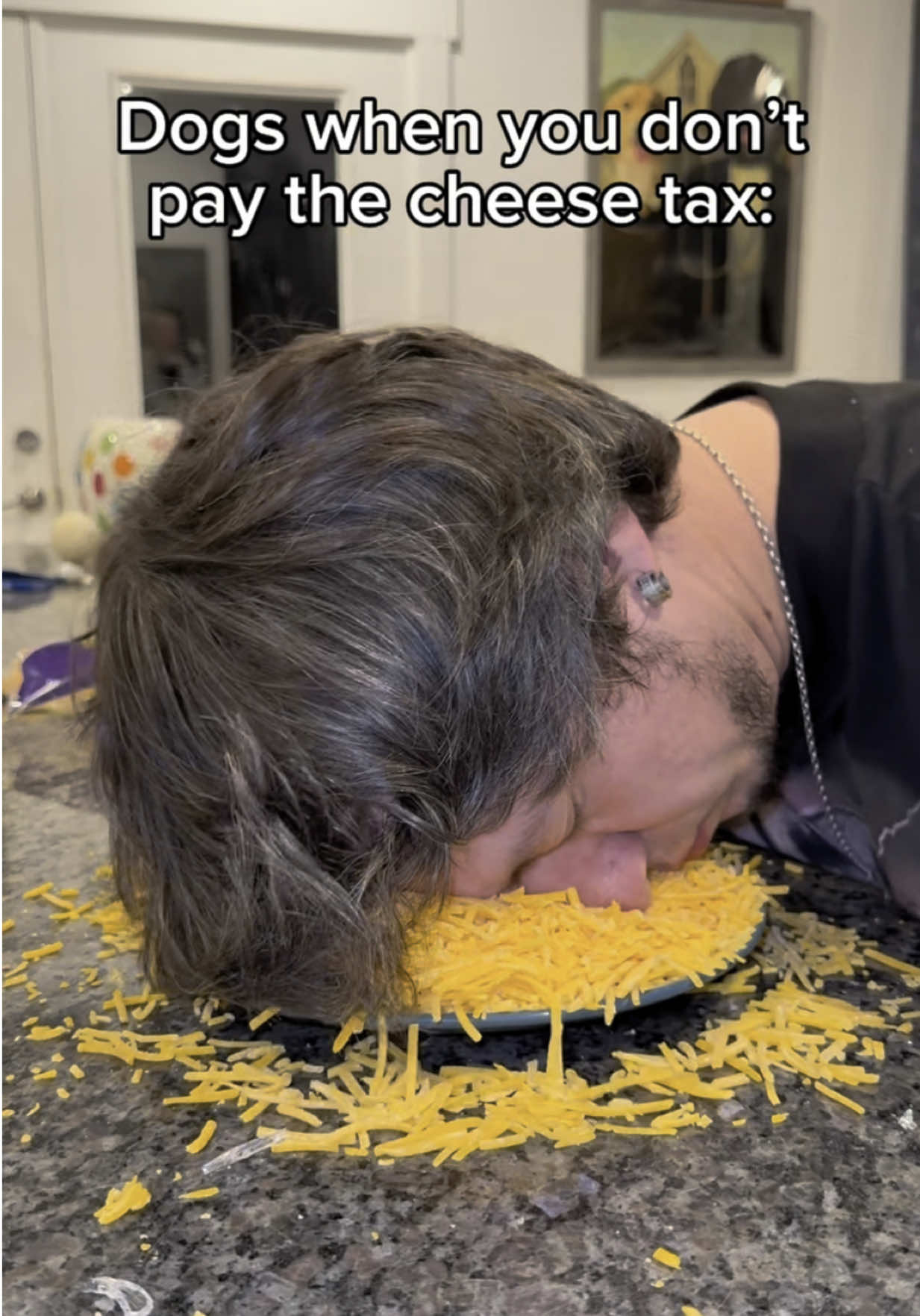 Either pay the cheese tax or the consequences 🥲 #dog #dogowner #dogsoftiktok #funnydogvideos #funnydog #dogparents 