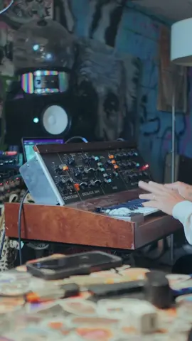 Mellow waves 🌊  #fyyoupage #foryouuuuuuuu #minimoog #relaxingsounds #synthesizers #moogsynthesizer #springbirds #mellowmusic 