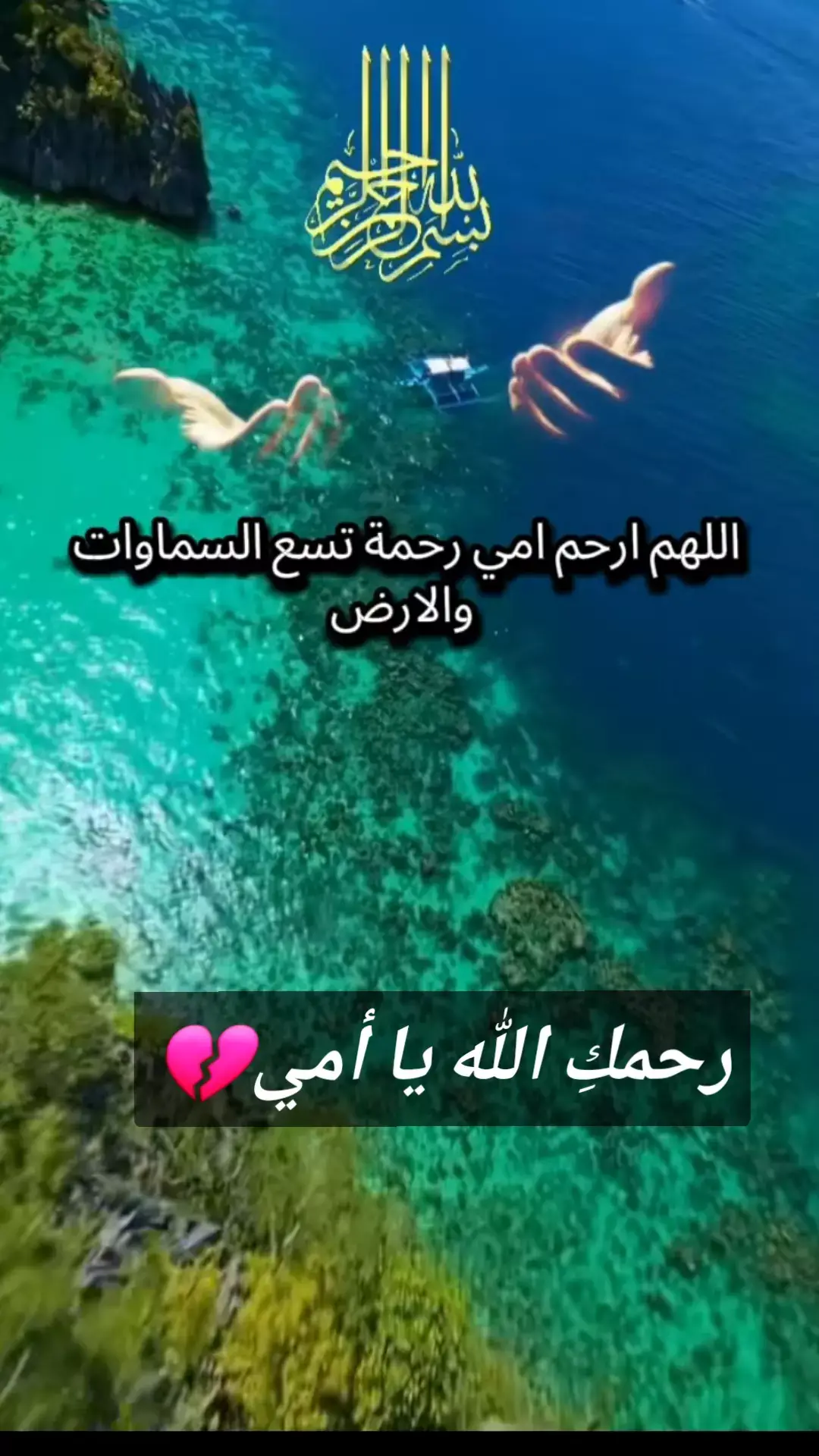 #رحمك_الله_يا_فقيدة_قلبي💔  #💔💔💔💔💔💔💔💔💔  #tiktok  #tiktok #tiktok 