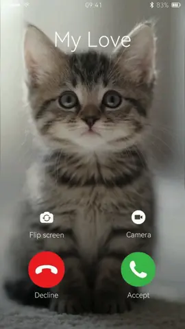 I think his calling for some treats 😻❤️#cutecat #cute #ai #lipsync #