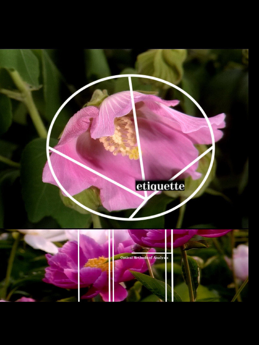 Song: Pitcher56 - 175 | This is an older video | #edit #pitcher56 #visualart #design #fyp #art #shibuyakei #kei #nostalgia 