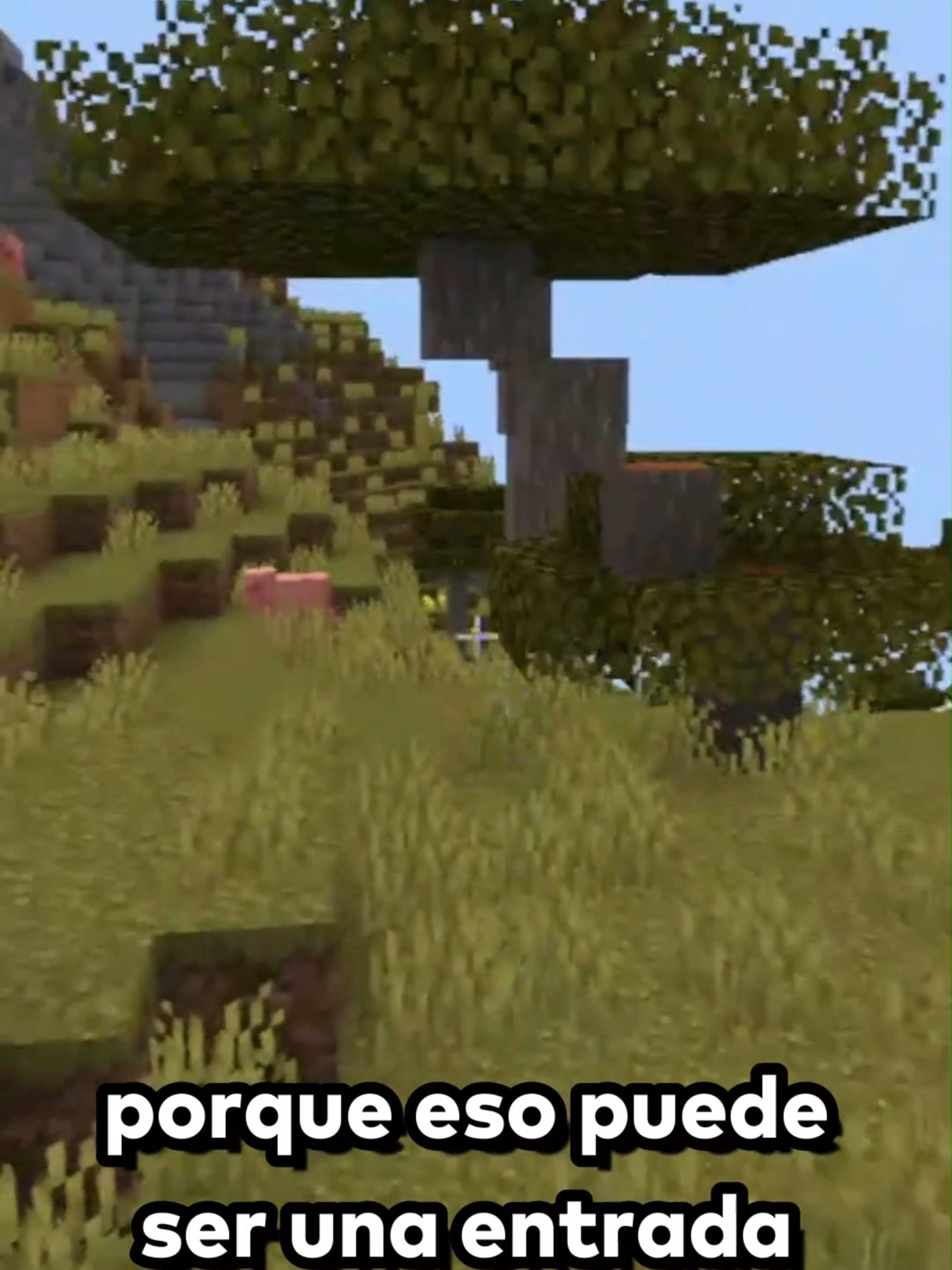 mi primer hardcore sale mal 😢#Minecraft #roblox #actualidad #chill #foryoupage #memes #shorts #pvp #parati #shortstories #paratii #mexico #argentina #ecuador #fpy #twitch #streamer #pandemia #2025 #🥺🥺 #kick